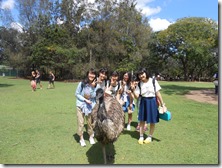 image2 (1)
