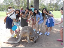 image5 (1)