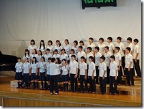 3B